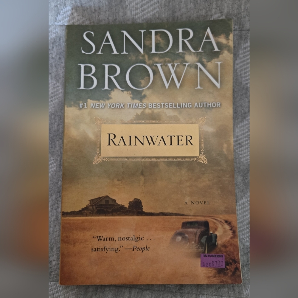 Sandra Brown 'Rainwater' Novel